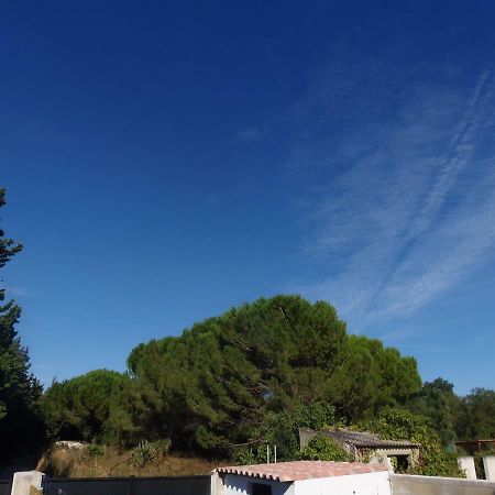 Apartament Joli Mazet Entre Montpellier Et Nimes Aimargues Zewnętrze zdjęcie
