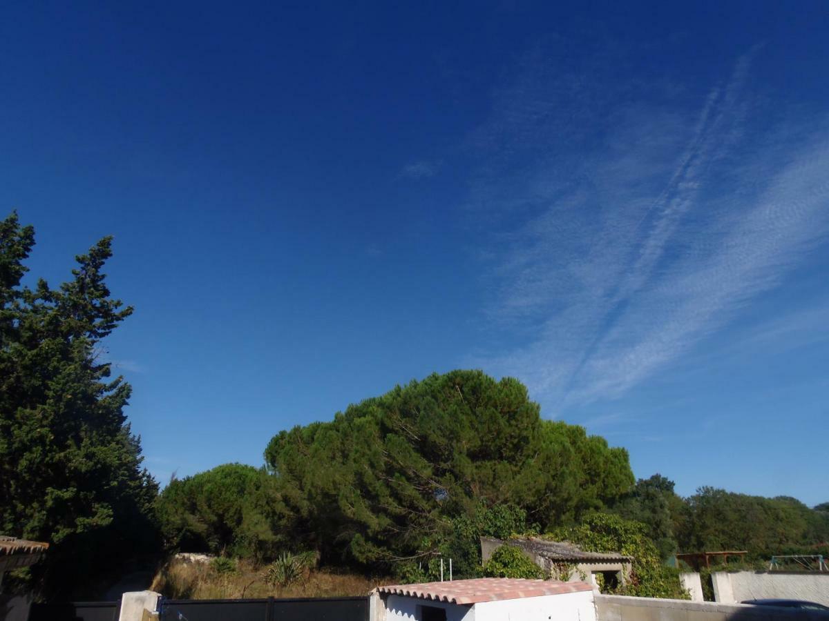 Apartament Joli Mazet Entre Montpellier Et Nimes Aimargues Zewnętrze zdjęcie